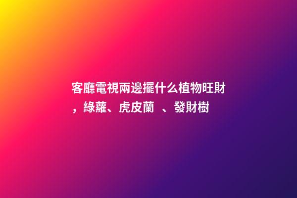 客廳電視兩邊擺什么植物旺財，綠蘿、虎皮蘭、發財樹